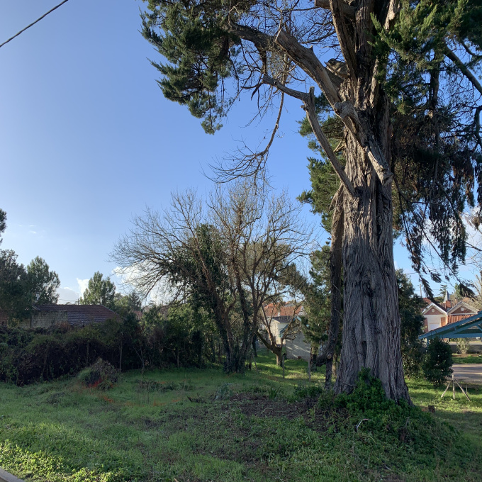Offres de vente Terrain Soulac-sur-Mer (33780)